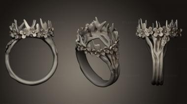 Jewelry rings ring 125 3d model